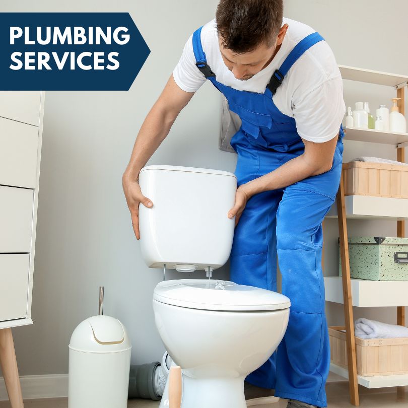 Plumbing Company in Rockwood, MI